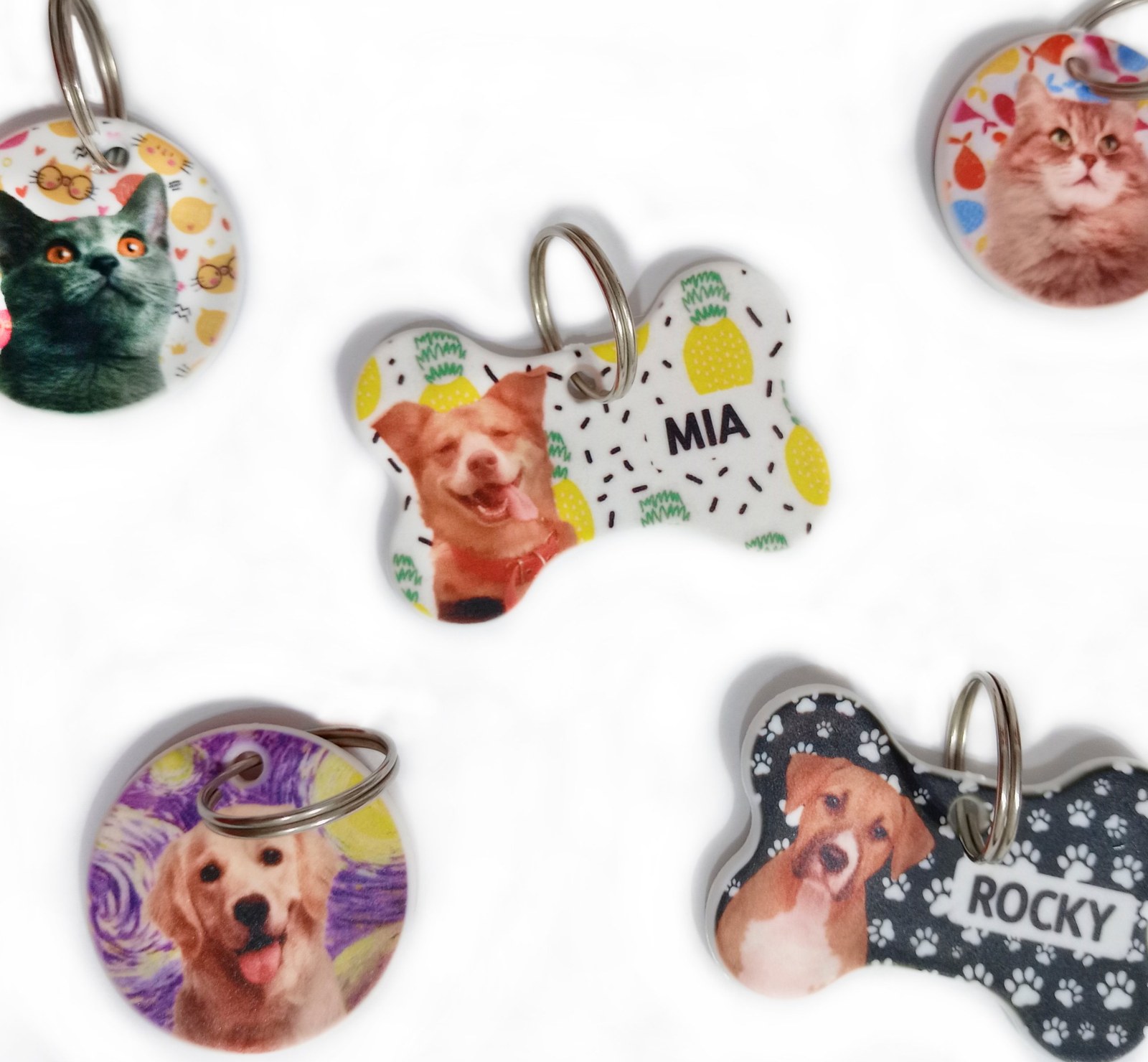 Chapitas identificatorias personalizadas con foto de perros y gatos, redondas y con forma de huesito